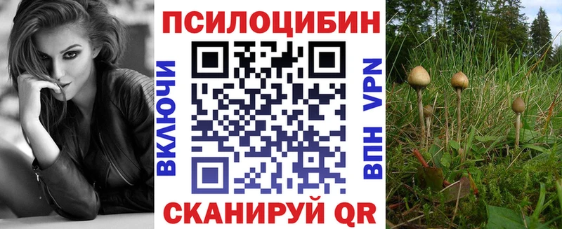 блэк спрут ссылки  где продают наркотики  Калязин  Галлюциногенные грибы Psilocybine cubensis 